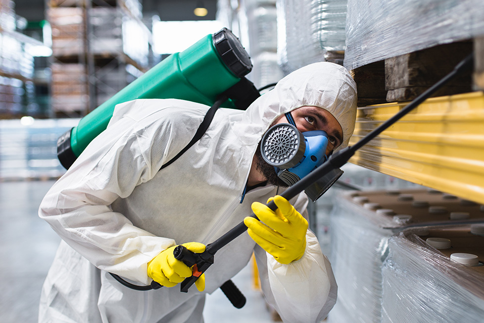 Three Reasons Mouse Infestations Can Recur