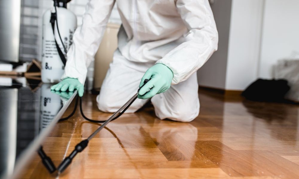Living in Harmony with Nature —Humane Pest Control Methods 