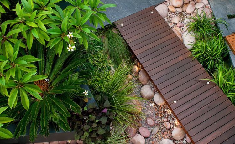 landscape design