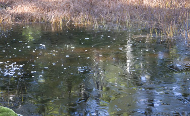 Crystal Clear Water