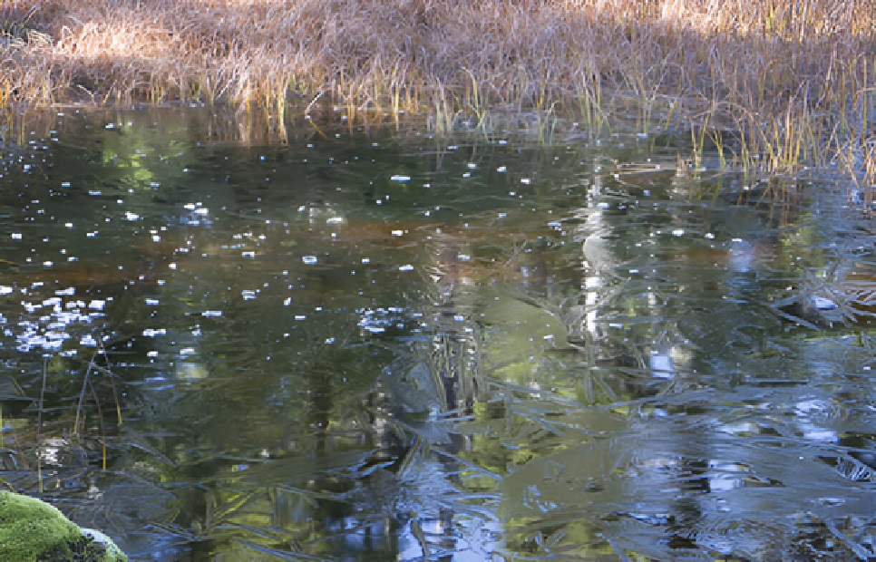 Crystal Clear Water